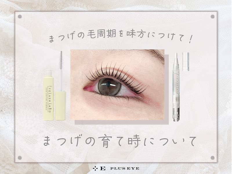 まつ毛にも“育てどき”があるって知っていました？